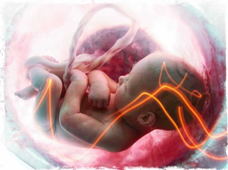 Невынашивание беременности: причины, сроки, профилактика, лечение