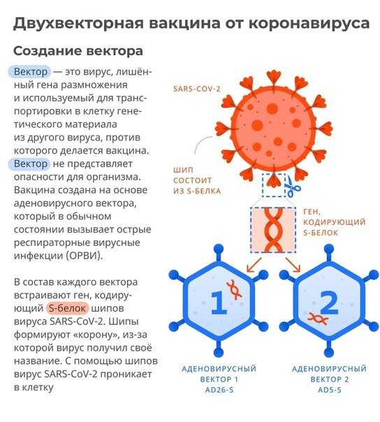 В чем разница между российскими вакцинами от covid-19