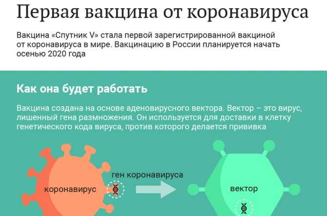 Вам «спутник v» или «эпиваккорону»? - эксперт сравнил две самые перспективные российские вакцины от коронавируса | коронавирус covid–19: официальная информация о коронавирусе в россии на портале – стопкоронавирус.рф