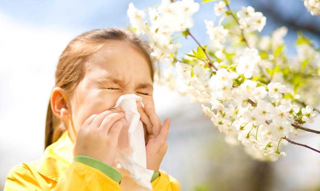 Летние аллергии - обсуждение проблемы с аллергологом иммунологом евромед
