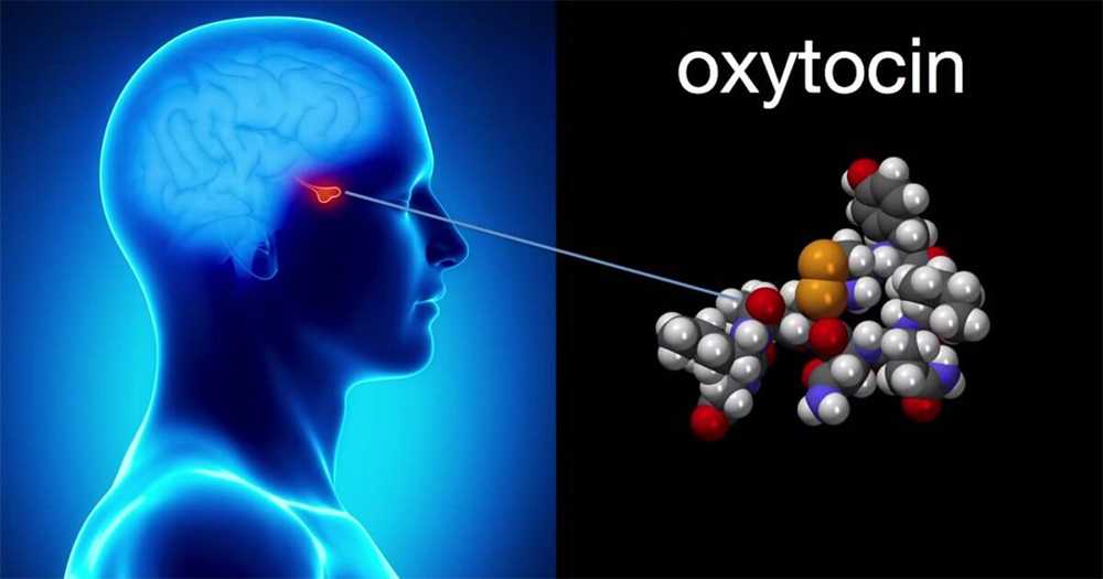 Окситоцин - что это? как он действует? зачем его назначают? | аборт в спб