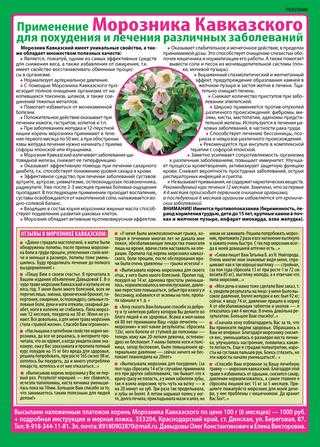 Трава морозник кавказский для похудения: как принимать, отзывы - минус 12 кг легко - похудейкина
