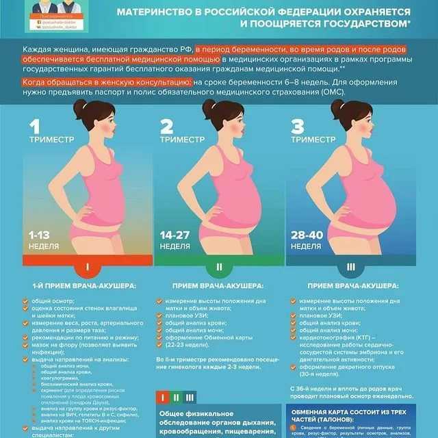 Показатели крови во время беременности
