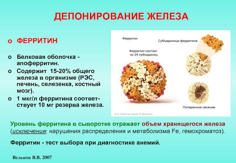 Ферритин при коронавирусе – показатели при ковиде