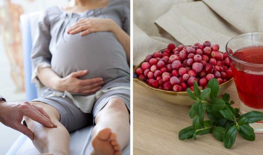 Брусника при беременности — польза, противопоказания и риски употребления