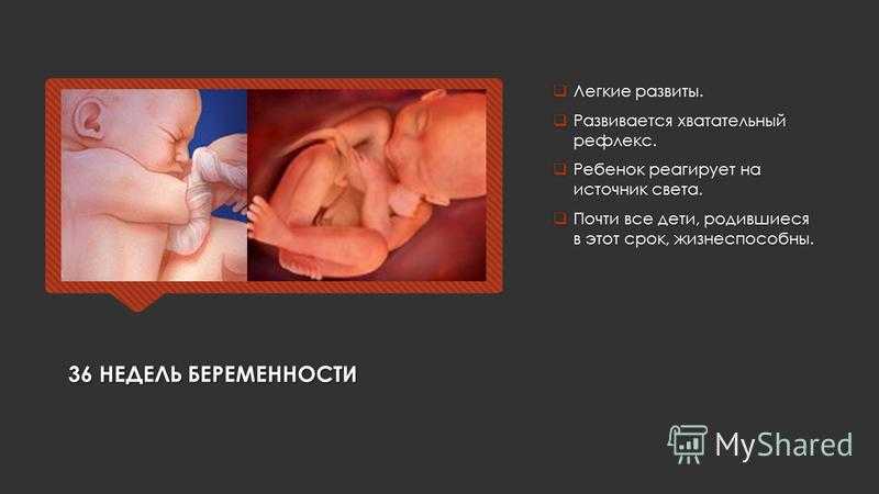 Ребенок родился в 36 недель. Вес ребёнка на 36 неделе беременности. Вес плода в 36 недель беременности. Вес плода в 36-37 недель беременности. Малыш на 31 неделе беременности.