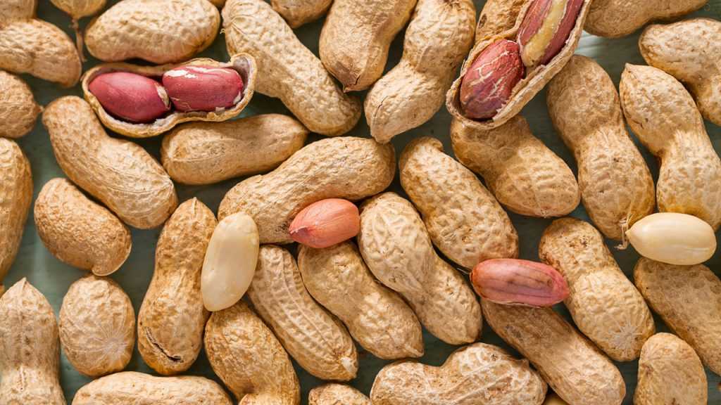 Аллергия на арахис - peanut allergy - abcdef.wiki