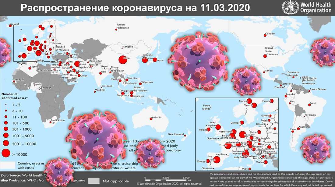 Коронавирус в севастополе на 13 октября 2021 года: сколько заболевших и умерших на сегодня — коронавирус