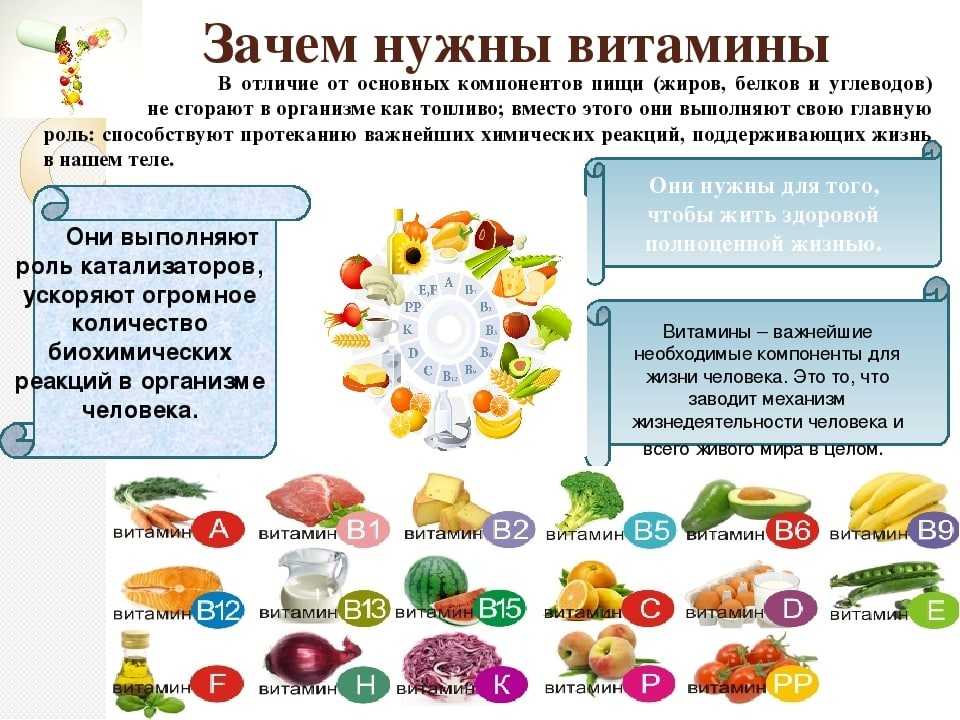 1 витамины, их классификация, физиологическая роль