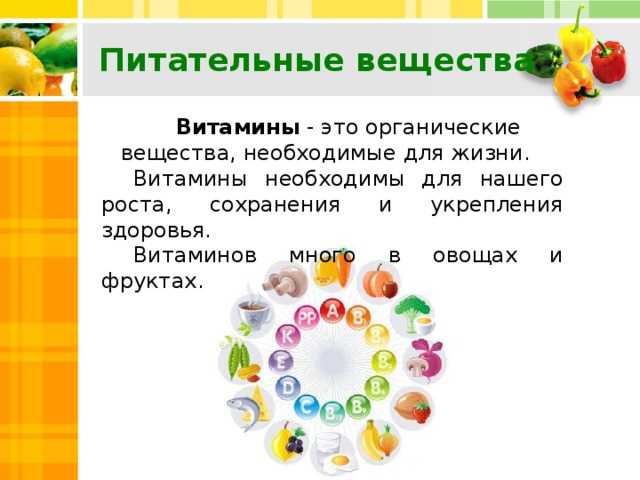 Откуда берутся витамины и как их производят - vechnayamolodost.ru