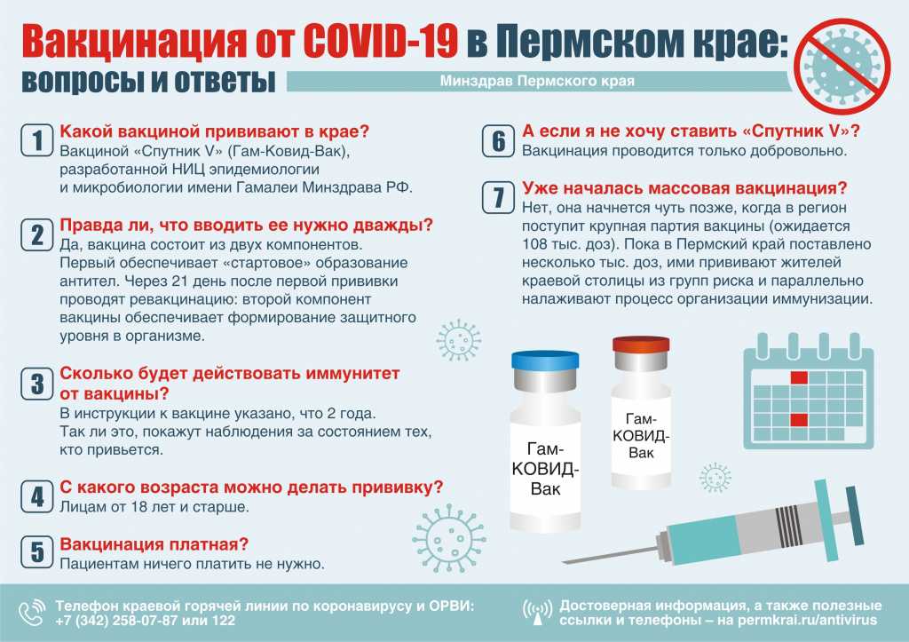 Все про вакцинацию и прививки от коронавируса covid-19 - показания, противопоказания, реакции