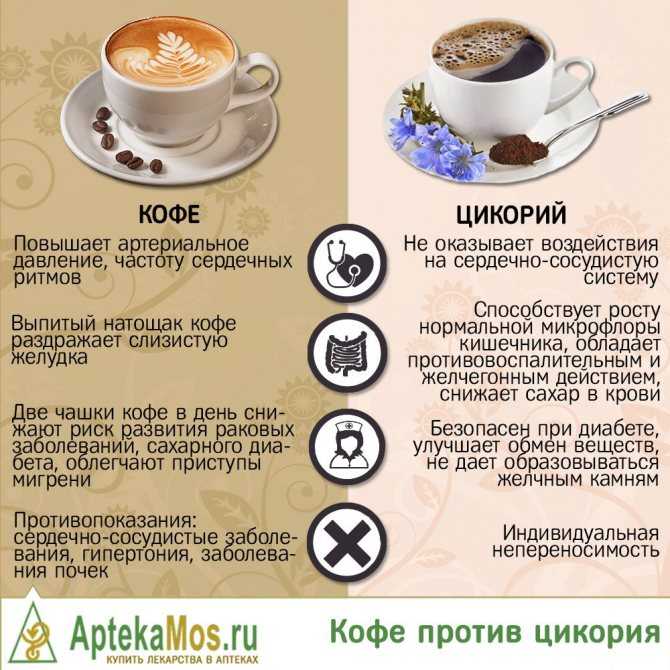 Что полезнее: кофе или цикорий, чем они отличаются и что лучше пить для здоровья организма