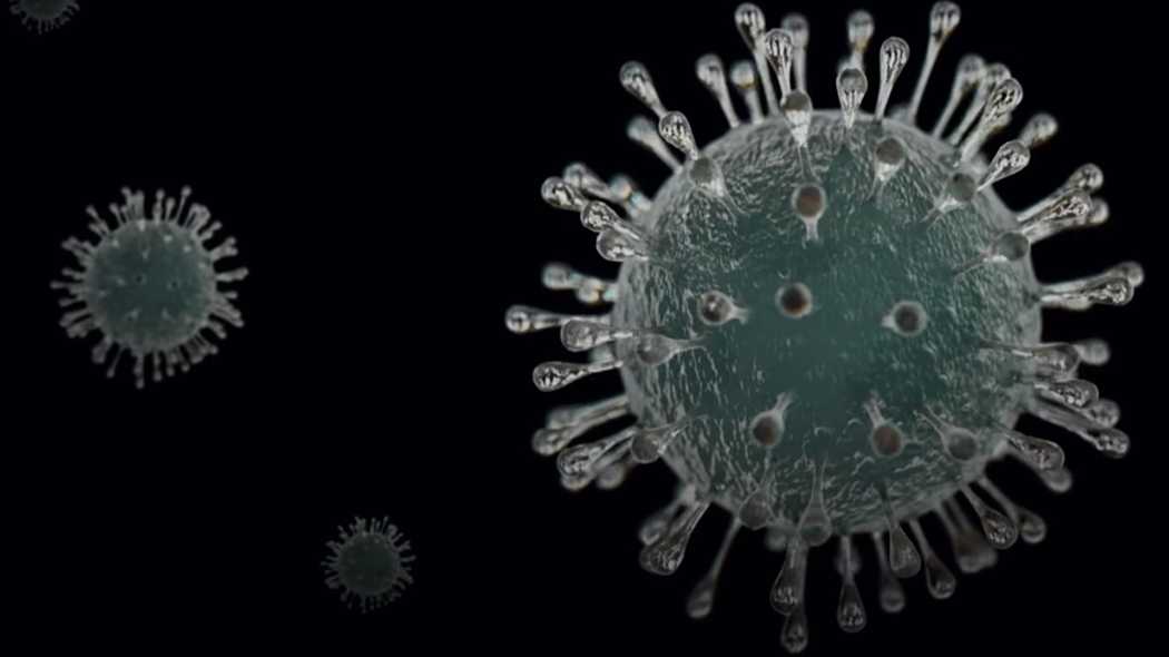 Симптомы индийского коронавируса