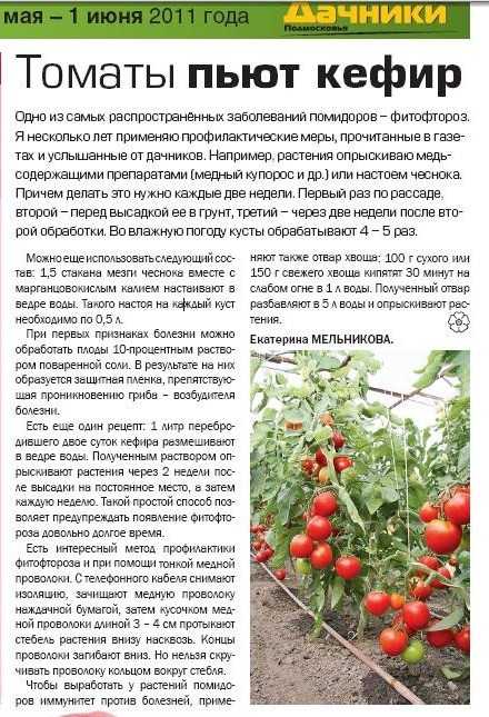 Огурцы и помидоры при панкреатите