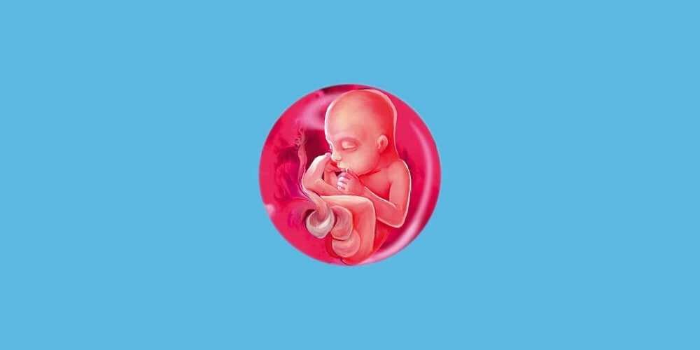 Ранний токсикоз у беременных