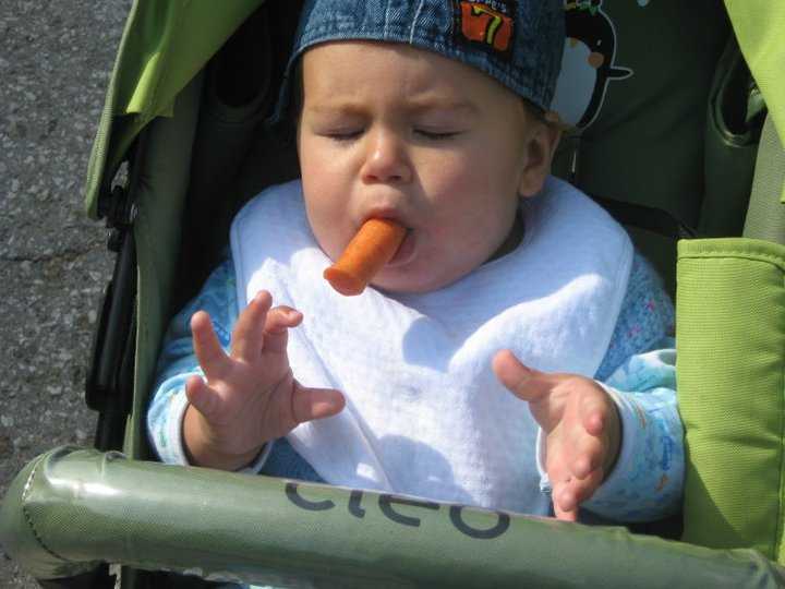 Морковь при аллергии: причины возникновения аллергической реакции, симптомы и признаки, факторы риска