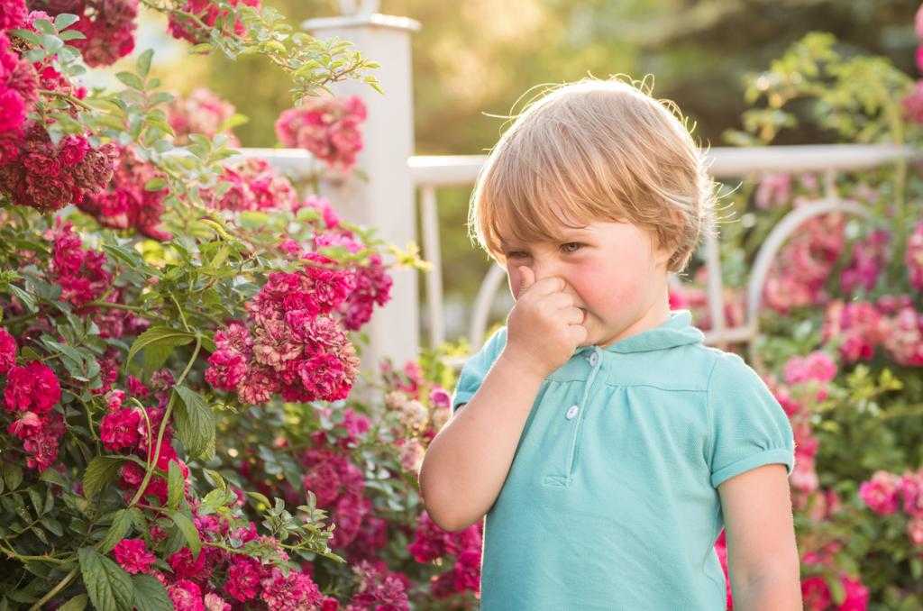 Признаки аллергии у взрослых: насморк, пищевые расстройства и другие симптомы
