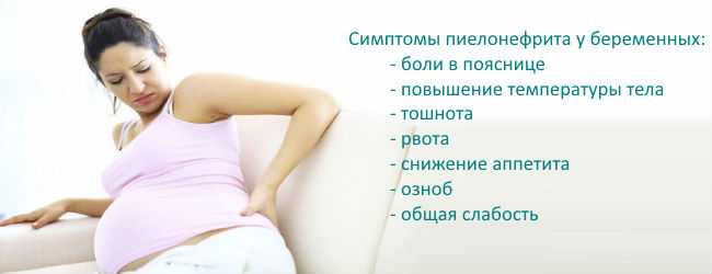 Пиелонефрит и беременность. причины. симптомы и лечение.