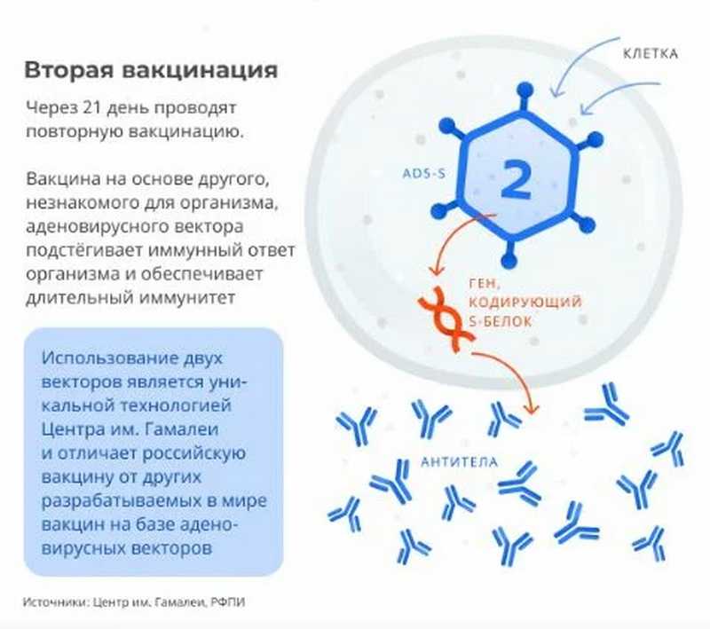 Какие вакцины от коронавируса зарегистрированы в россии
