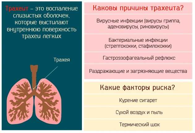 Трахеит: причины, разновидности, симптомы. методы диагностики и лечения трахеита