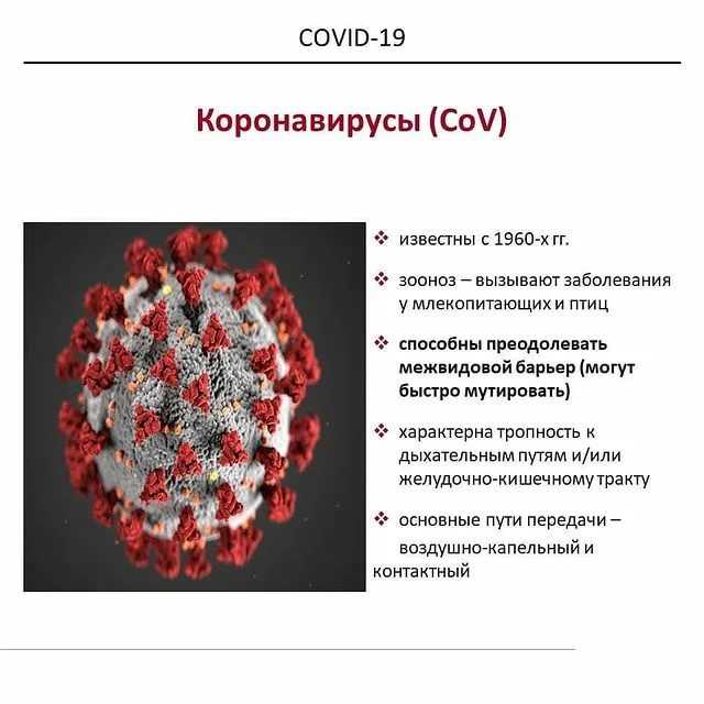 Ферритин сдача. Ферритин 470. Ферритин картина. Ферритин для волос. После коронавируса снижен ферритин.