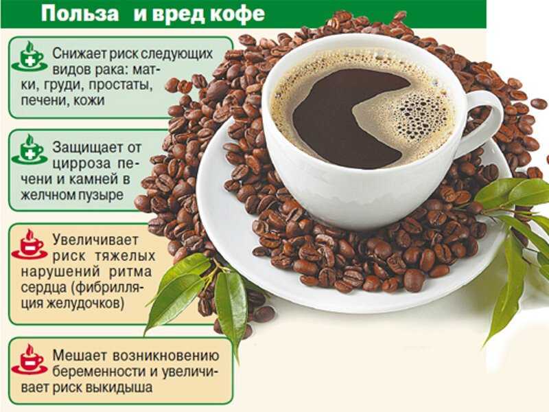 Кофе во время диеты – подтверждаем и опровергаем мифы