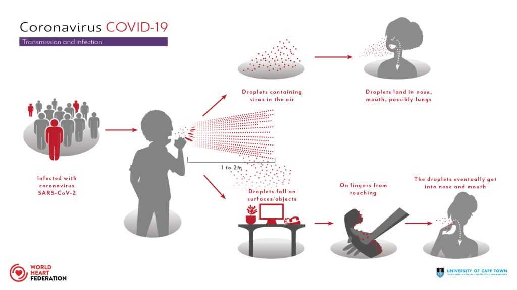 Как передается коронавирус covid-19 – способы передачи в 2020