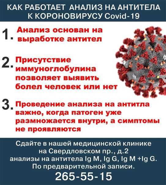 Лабораторные тесты на коронавирус covid-19 простым языком. как правильно выбрать метод исследования.