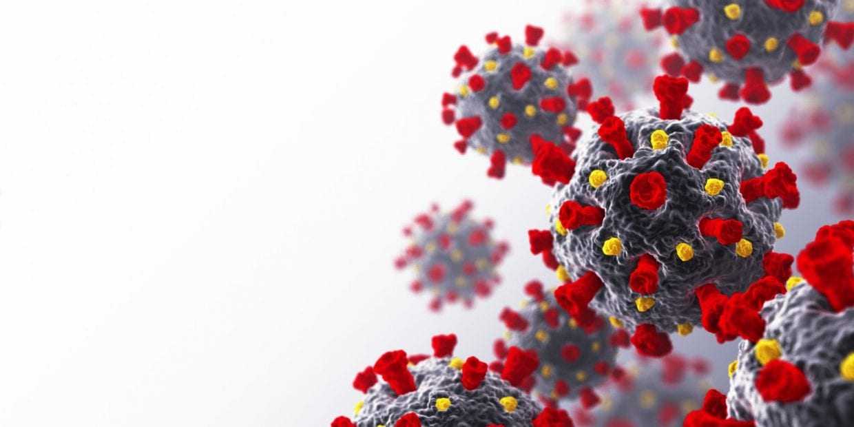 Лабораторные исследования от мз рф в новой 11 версии методических рекомендаций по коронавирусу