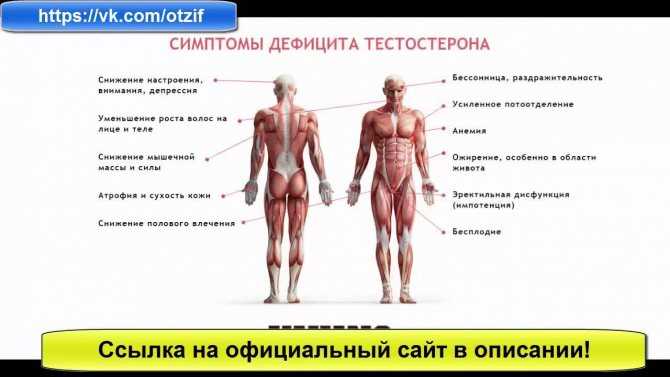 Признаки низкого тестостерона у мужчин, которые нельзя игнорировать * клиника диана в санкт-петербурге