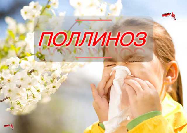 Календарь цветения для аллергиков – галопортал