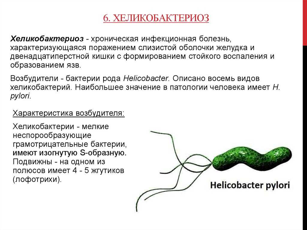 Благоприятные и неблагоприятные условия для роста helicobacter pylori