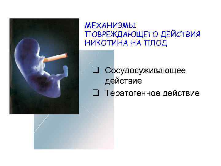 Никотин и плод. Воздействие на плод никотина. Влияние никотина на эмбрион. Влияние никотина на эмбрион человека. Влияние наркотиков на плод.