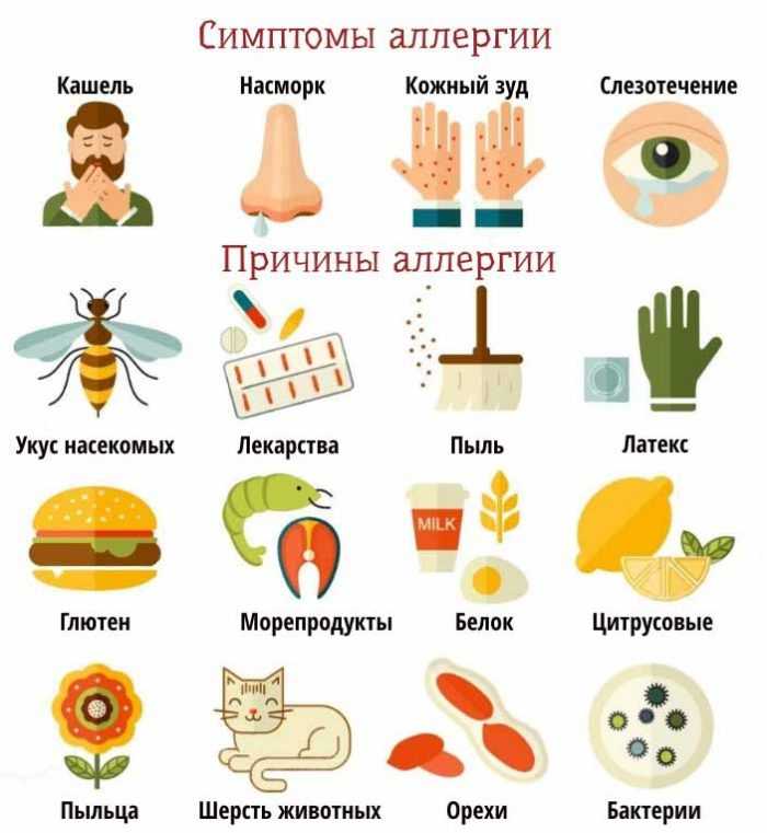 Пищевая аллергия - симптомы, причины, профилактика и лечение