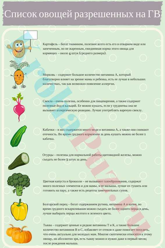 Какие овощи можно есть кормящей маме список продуктов