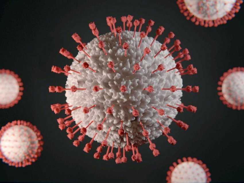 Насколько опасен штамм коронавируса "дельта плюс"