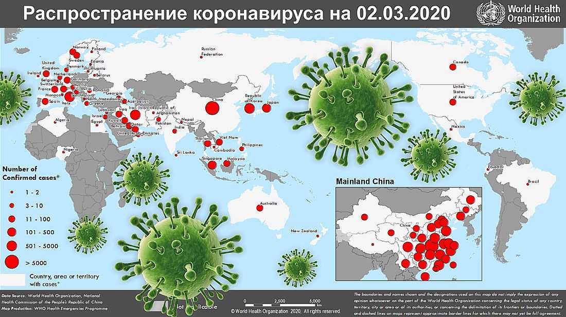 Коронавирус в тюменской области на 13 октября 2021 года: сколько заболевших и умерших на сегодня