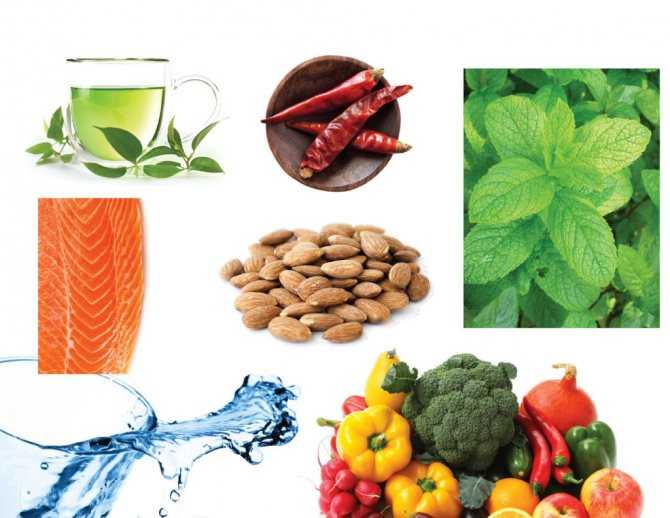 20 простых продуктов, ускоряющих метаболизм