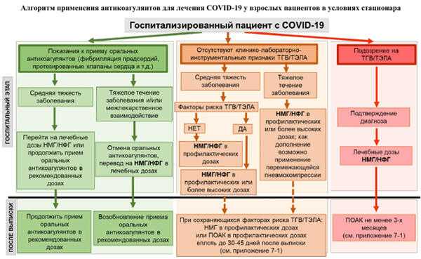 Все, что нужно знать о коронавирусе в россии. август 2021 года