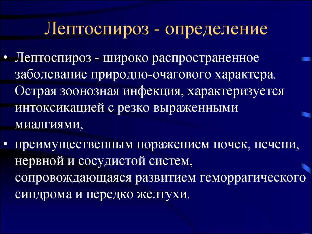 Лептоспироз гепатит