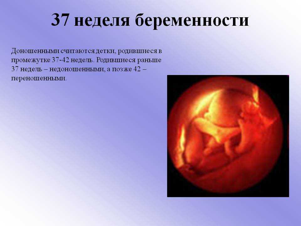 37-я акушерская неделя беременности: особенности срока и развития