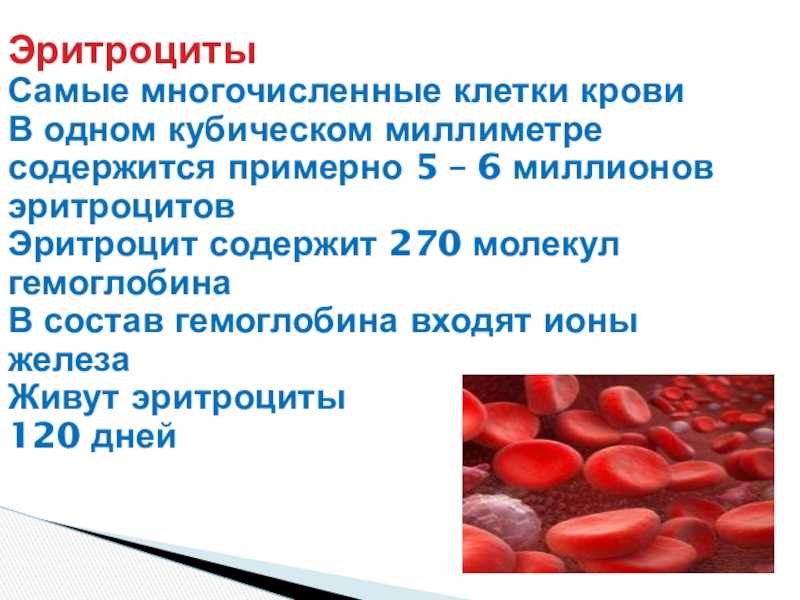 Четыре стратегии лечения анемий у онкологических больных в россии