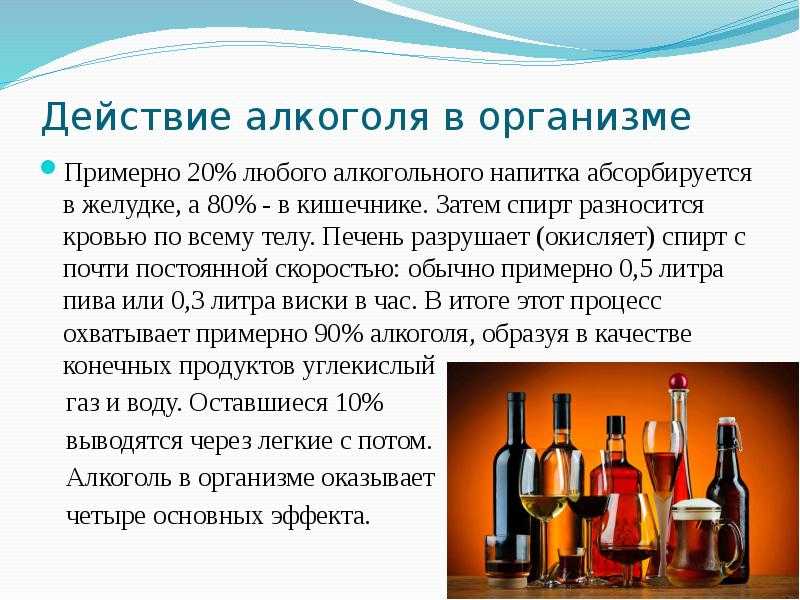 Перечень напитков, запрещенных при беременности, включает алкоголь. Однако мнения медицинских представителей по поводу употребления вина в период вынашивания различаются.