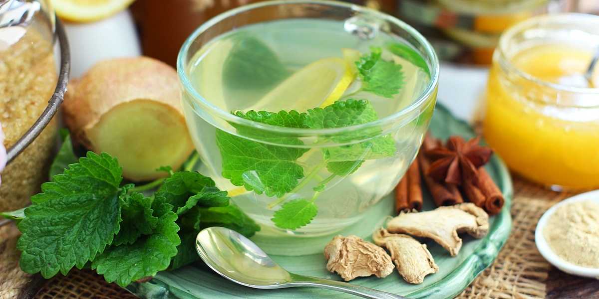 Чай из имбиря с лимоном и медом для похудения рецепт. полезные свойства компонентов | здоровье человека