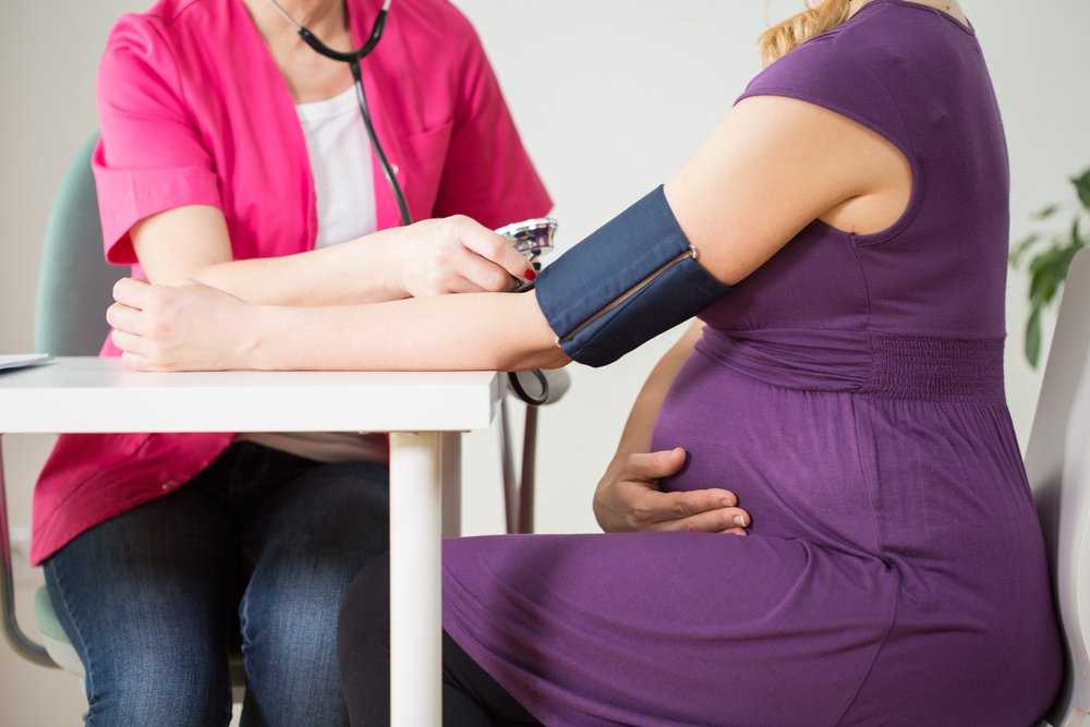 Шиповник при беременности — ваш вкусный помощник