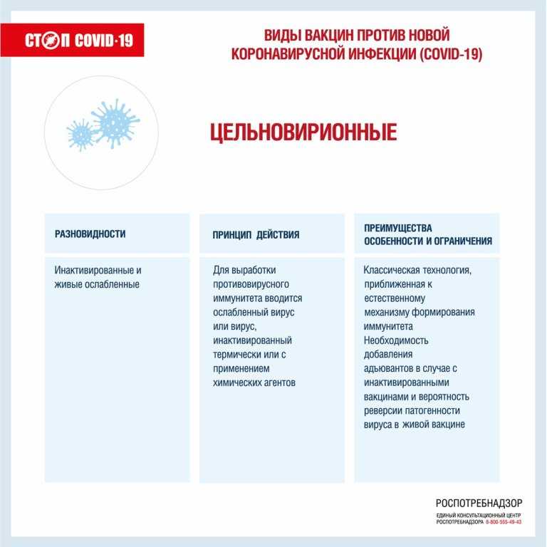 Стоимость вакцины от коронавируса — цены вакцин от коронавируса, какие вакцины делают в РФ, сколько стоит прививка, цена вакцины Спутник V, цена прививки от ковида в Москве