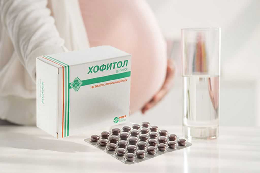 Что пить при токсикозе. Хофитол таблетки для беременных. Хофитол 120 мл. Хофитол (р-р 20%-120мл фл. Вн ) Майоли Спиндлер Лабораториз-Франция. Хофитол для токсикоза беременных.
