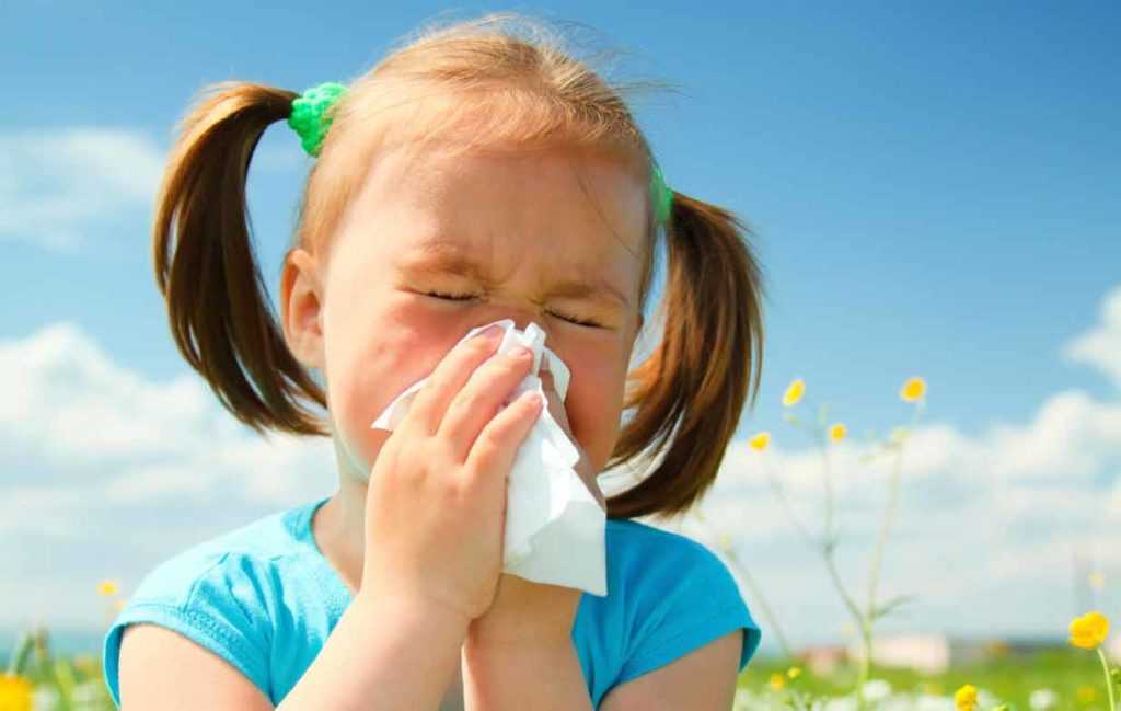 Аллергия: что это, почему возникает и можно ли избавиться навсегда | рбк тренды
