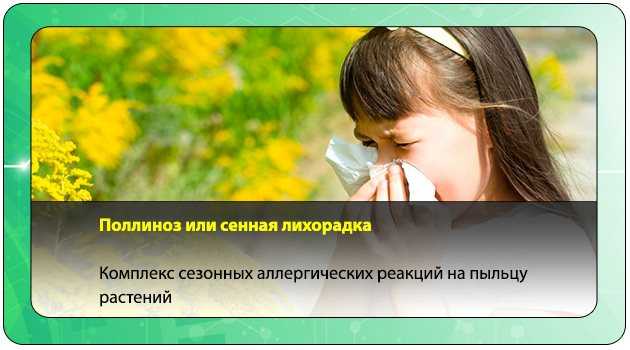 Пыльцевая аллергия