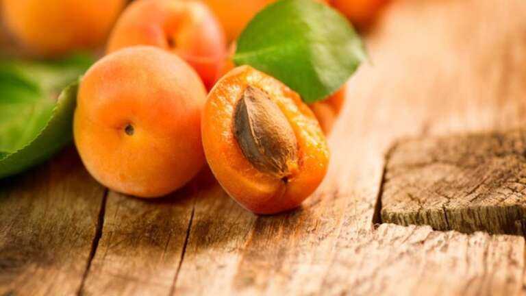 Косточки абрикоса против рака